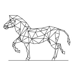 logo of zebra © Diana