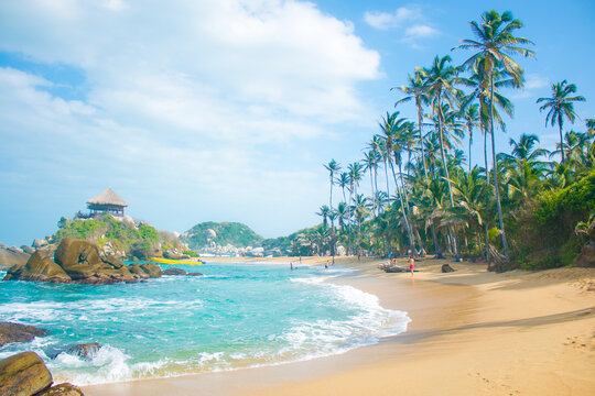 beach with palm trees in Colombia