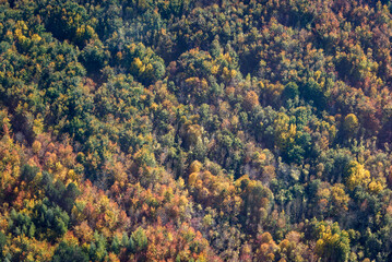 Naklejka na ściany i meble vue aérienne d'une forêt à l'automne à Bannières-sur-Seine dans les Yvelines en France