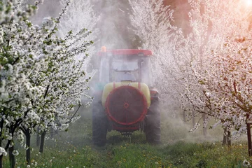 Fotobehang tractor sprays insecticide in orchard agriculture springtime © goce risteski
