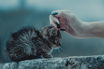 A woman cuddles a little kitten outside.