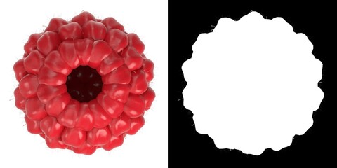 3D rendering illustration of a raspberry