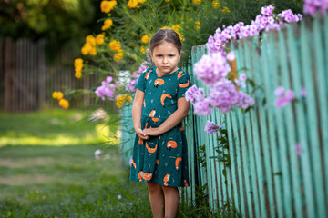 Girl at the fence