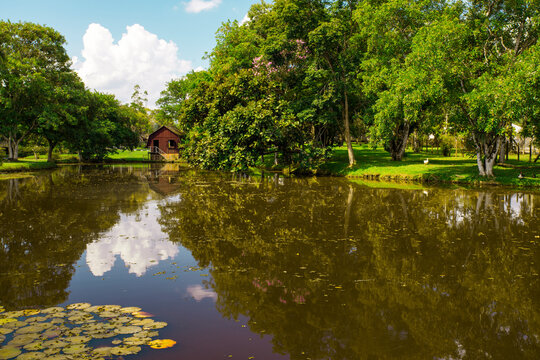 Jardim Botanico, Parque Municipal de Timb&oacute; em Santa Catarina