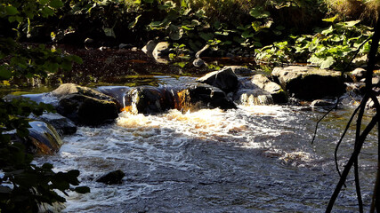 Glenarm River Forest Co Antrim Northern Ireland Autumn at sunset Golden hour