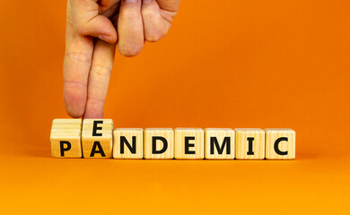 Covid-19 pandemic or endemic symbol. Doctor turns wooden cubes and changes the concept word pandemic to endemic. Beautiful orange background copy space. Medical Covid-19 pandemic or endemic concept.