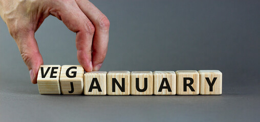 Veganuary in january symbol. Doctor turns wooden cubes and changes the concept word january to veganuary. Beautiful grey background copy space. Medical and healthy veganuary in january concept.
