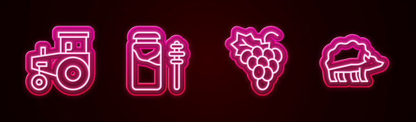 Set line Tractor, Jar of honey and dipper stick, Grape fruit and Hedgehog. Glowing neon icon. Vector