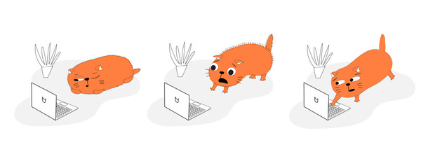 Cat and laptop. Set of vector illustrations about video games and movies to entertain bored cats.