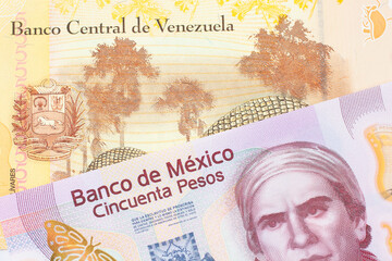 A macro image of a pink, plastic fifty peso bank note from Mexico paired up with a colorful, yellow five Bolivar bank note from Venezuela.  Shot close up in macro.