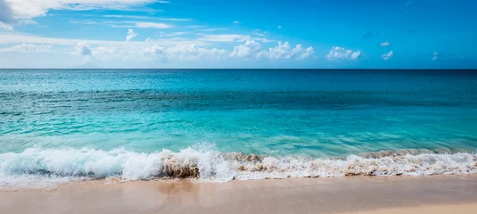Fototapeten Strand Beautiful beach in Sint Maarten, Lesser Antilles.  © Nancy Pauwels