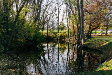 Der Wald ist ein Ort der Ruhe und wird erkennbar auf dem Foto und spiegelt die Natur so perfekt wieder.