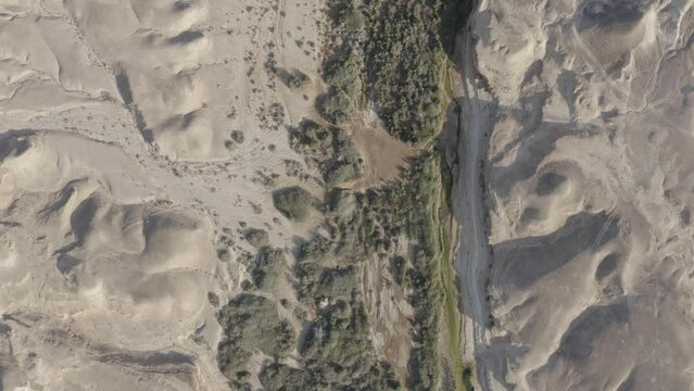 Aerial view over Negev desert

Ein zin, contaminated desert springs, Negev desert, Israel
