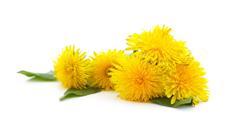 Naklejka premium Bouquet of dandelion.