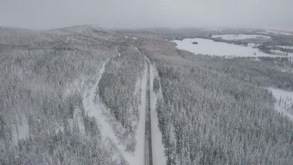 Arctic road