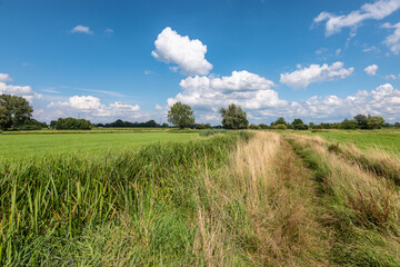 Panoramic grass field landscape in Belgium.