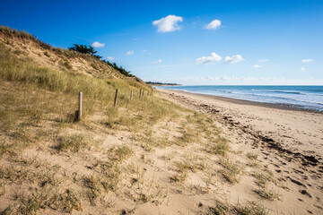 Sand dune and fence on a beach, Re Island, France