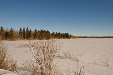 Frozen Astotin Lake in the Winter