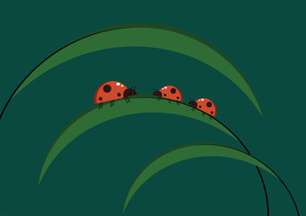 Ladybug on leaf. wallpaper. free space for text. background. symbol.