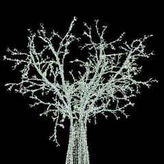 white illuminated tree in garlands isolated on black