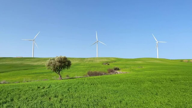 wind turbine, windmill energy on green meadow