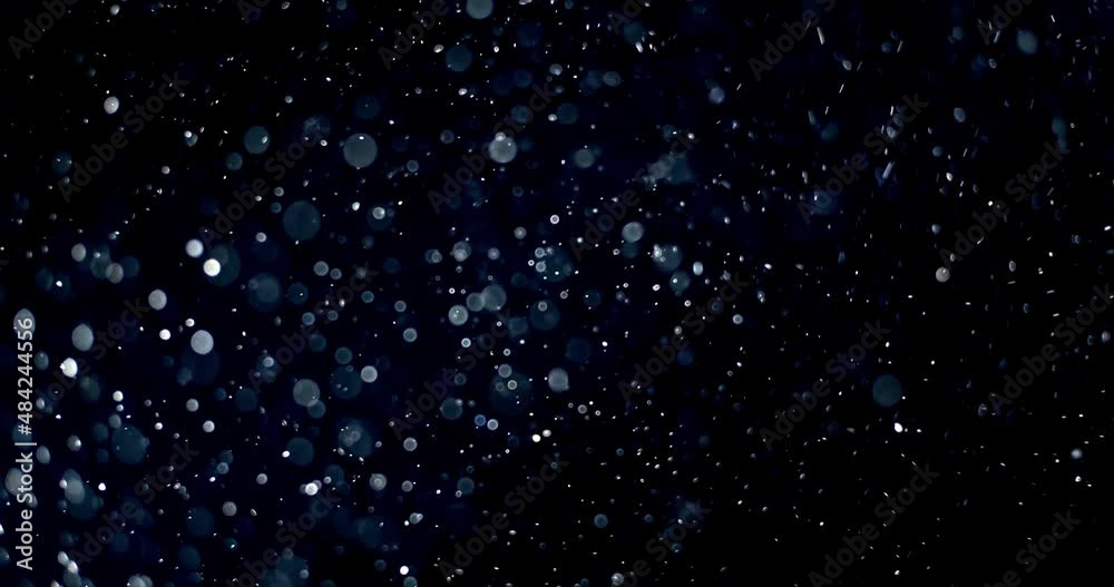 Wall mural natural organic dust particles floating on black background. dynamic dust particles randomly float i