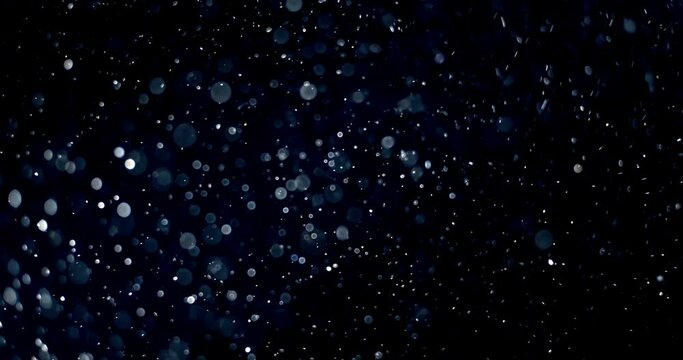 Natural Organic Dust Particles Floating On Black Background. Dynamic Dust Particles Randomly Float In Space. Shimmering Glittering Dust Particles With Bokeh. Slow motion on Black Background.