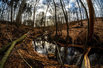 Brandenburg im Weitwinkel 01 - Lanke