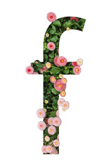 Letter f lower case made of real natural flowers and leaves. Flower font concept. Unique collection of letters and numbers. Spring, summer and valentines creative idea