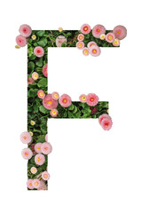 Letter F made of real natural flowers and leaves. Flower font concept. Unique collection of letters and numbers. Spring, summer and valentines creative idea