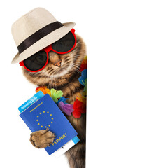 Funny cat with passport and airline ticket.