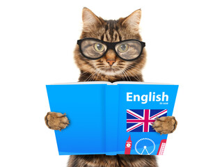 Funny cat is learning English.