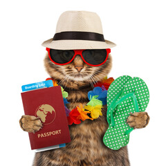 Funny cat with passport,airline ticket and flip flops.