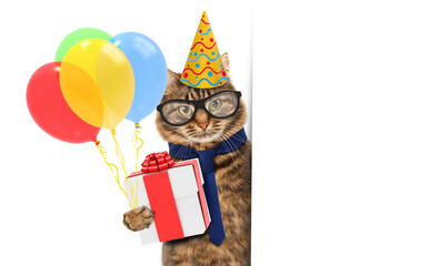 Funny cat is wearing clown's costume with balloons and banner for text.