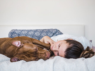 Charming, adorable brown color puppy and sweet woman. Close-up, indoor. Day light. Concept of care,...