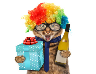Funny cat is wearing clown's costume and holding a bottle of champagne and gift. 