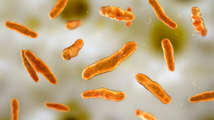Bilophila wadsworthia bacteria, 3D illustration
