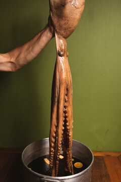 Cook (Chef) holds a whole fresh octopus in his hands. Cooking octopus. An unrecognizable person. Seafood dishes. Protein food. Free space
