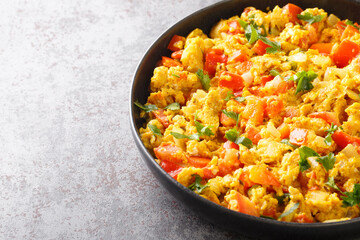 Egg Bhurji Spiced Indian Scrambled Eggs closeup in the plate on the table. Horizontal