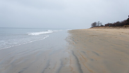 Foggy, empty beach in winter