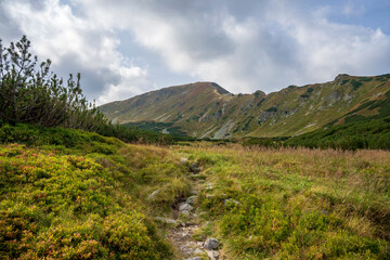 Jamnicka Valley in the Western Tatras, Slovakia.