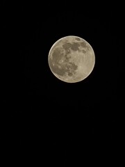 Obraz premium full moon in the night sky
