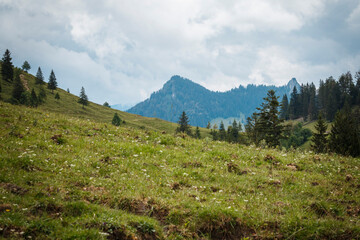 Panoramic mountain view with green grass