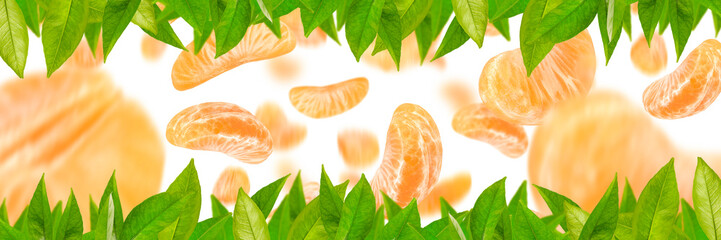 Big set of tangerine parts, different tangerine segments isolated on white background. Leaves and pieces of tangerine fall