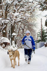 Fototapeta na wymiar A woman in a sports jacket walks her Alabai dog on a winter day. Vertical photography.