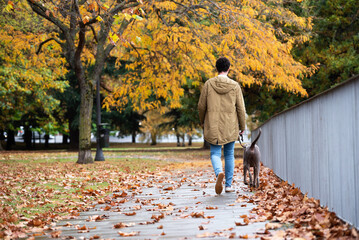Young man walks with his dog in the park in autumn