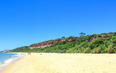 Fototapeta na wymiar areia da praia de Arraial d'Ajuda Bahia Brasil