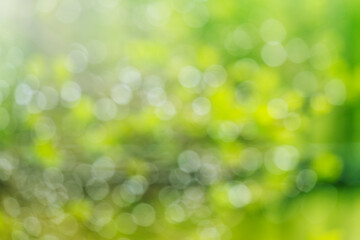 Natural bokeh abstract green background. Abstract spring background with green and white bubbles and color transitions