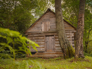 summer travel to Russia, Torzhok city. Architectural and Ethnographic Museum Vasilevo. typical buildings of the northern type - a Karelian house and barns