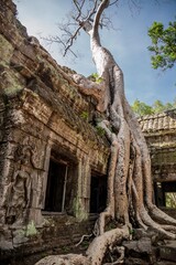 Angkor Wat, Cambodia